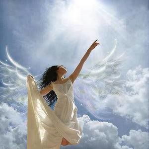 Meet your Posher, Marlene